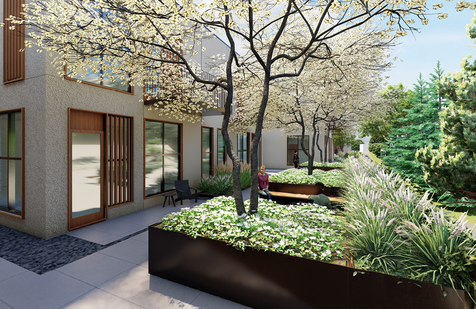Website Images_Excelsior Development5